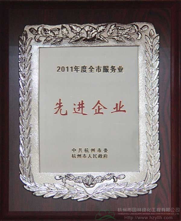 亚洲精品白浆高清久久久久久