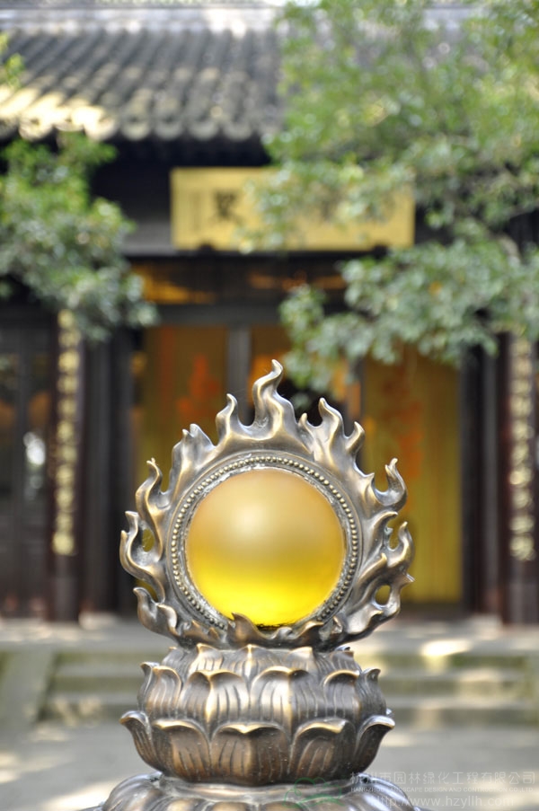 亚洲精品白浆高清久久久久久