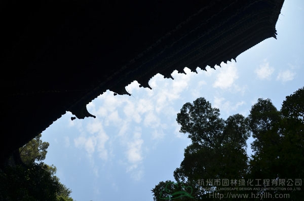 亚洲精品白浆高清久久久久久