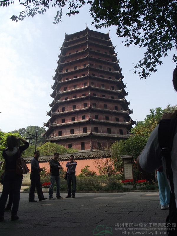 亚洲精品白浆高清久久久久久