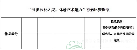 亚洲精品白浆高清久久久久久