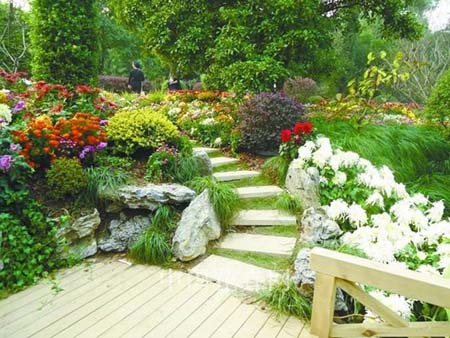 亚洲精品白浆高清久久久久久