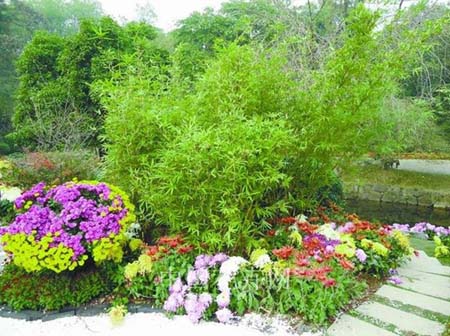 亚洲精品白浆高清久久久久久