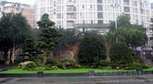 亚洲精品白浆高清久久久久久