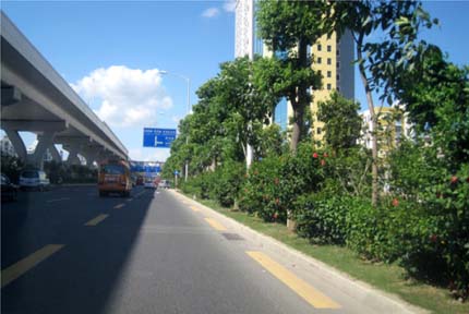 亚洲精品白浆高清久久久久久