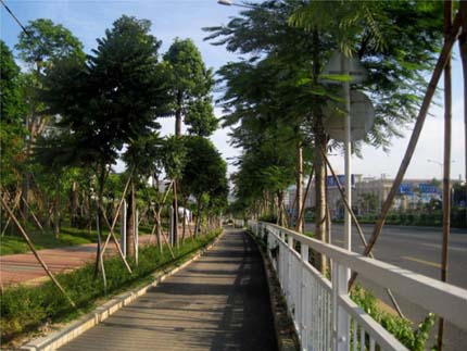 亚洲精品白浆高清久久久久久