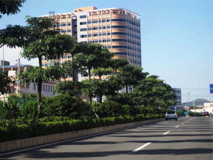 亚洲精品白浆高清久久久久久