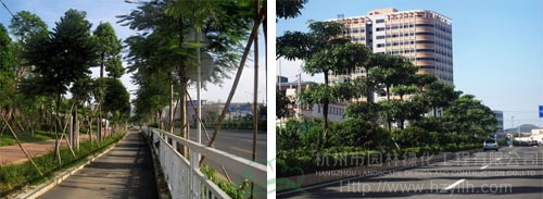 亚洲精品白浆高清久久久久久