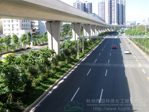 亚洲精品白浆高清久久久久久