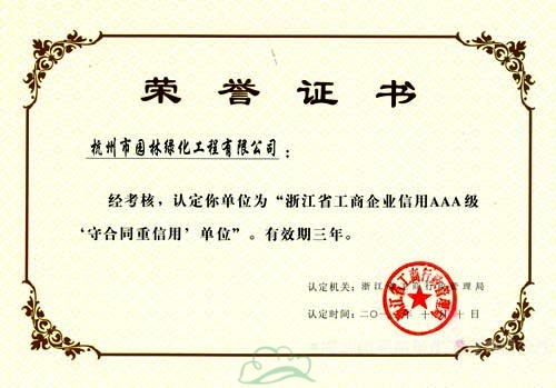 亚洲精品白浆高清久久久久久