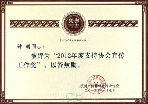 亚洲精品白浆高清久久久久久