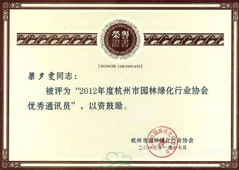 亚洲精品白浆高清久久久久久