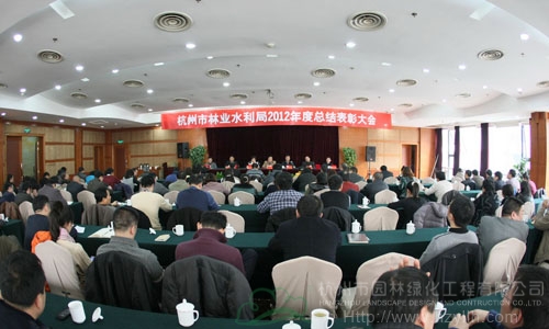 亚洲精品白浆高清久久久久久