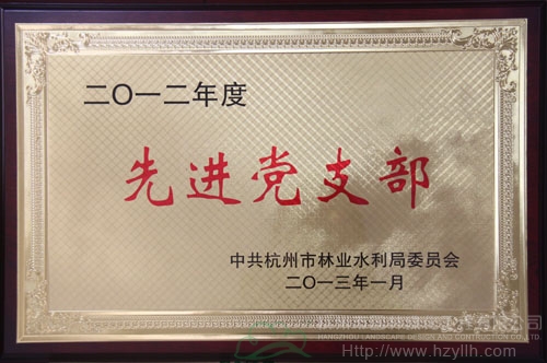 亚洲精品白浆高清久久久久久