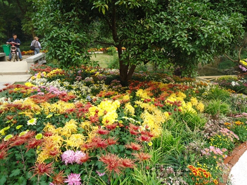 亚洲精品白浆高清久久久久久