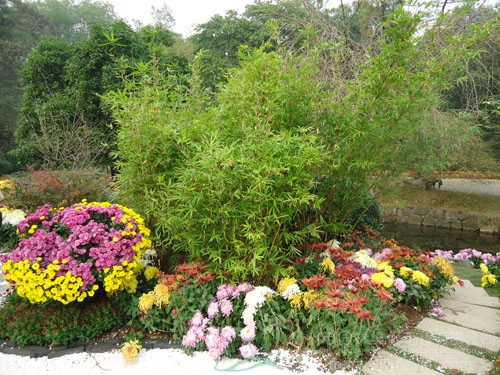 亚洲精品白浆高清久久久久久