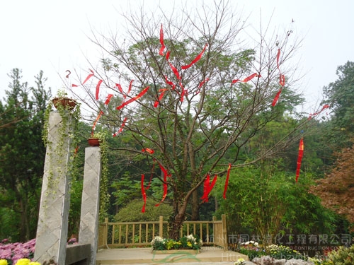 亚洲精品白浆高清久久久久久