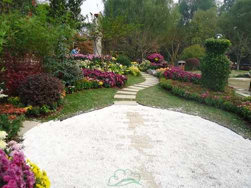 亚洲精品白浆高清久久久久久