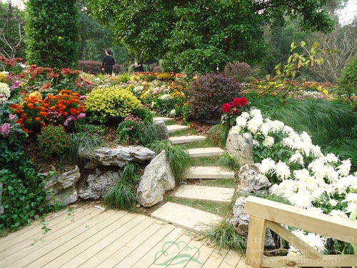 亚洲精品白浆高清久久久久久