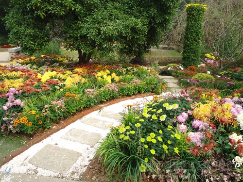 亚洲精品白浆高清久久久久久