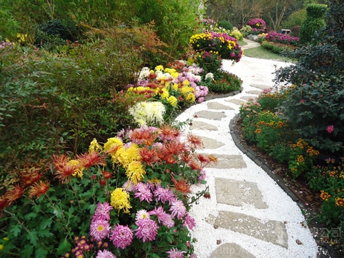 亚洲精品白浆高清久久久久久