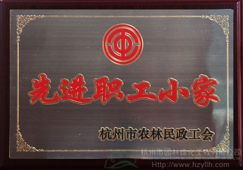 亚洲精品白浆高清久久久久久
