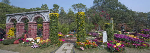 亚洲精品白浆高清久久久久久