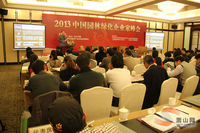 亚洲精品白浆高清久久久久久