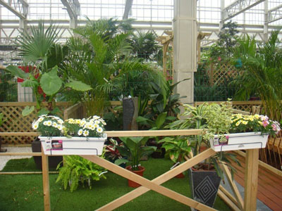 亚洲精品白浆高清久久久久久