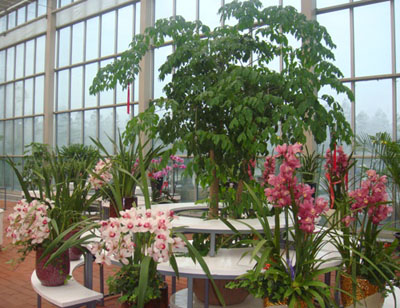 亚洲精品白浆高清久久久久久