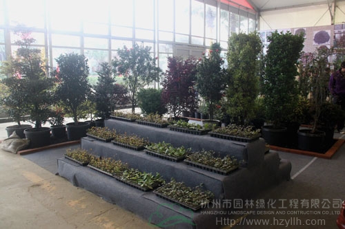 亚洲精品白浆高清久久久久久