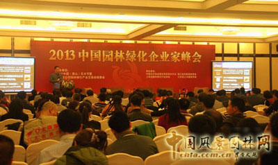 亚洲精品白浆高清久久久久久