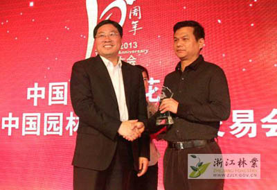 亚洲精品白浆高清久久久久久