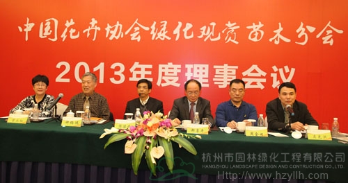 亚洲精品白浆高清久久久久久