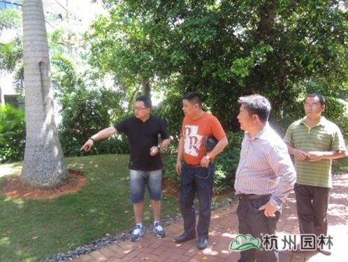 亚洲精品白浆高清久久久久久