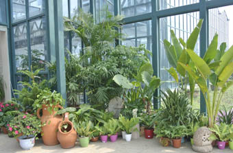 亚洲精品白浆高清久久久久久