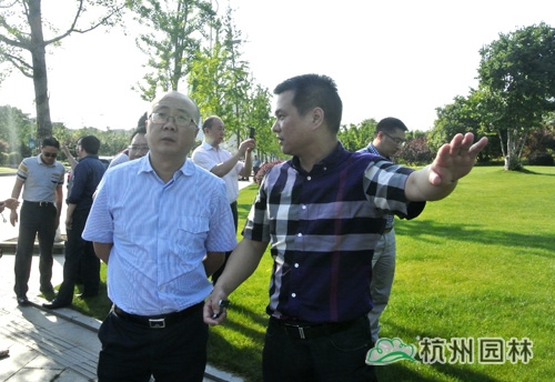 亚洲精品白浆高清久久久久久