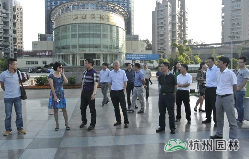 亚洲精品白浆高清久久久久久