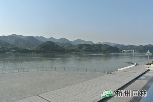 亚洲精品白浆高清久久久久久