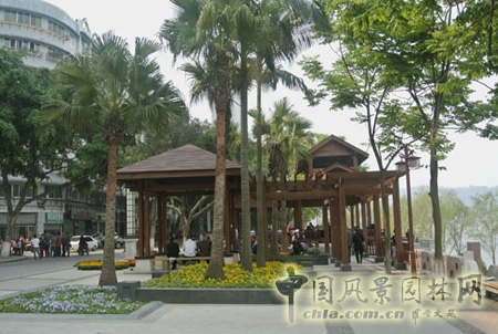 亚洲精品白浆高清久久久久久