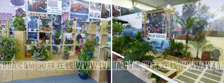 亚洲精品白浆高清久久久久久