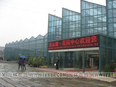 亚洲精品白浆高清久久久久久