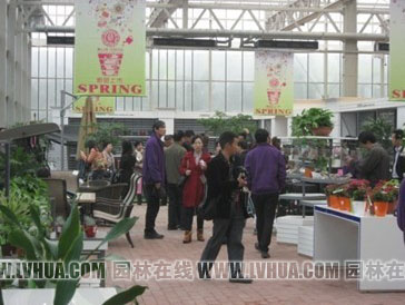 亚洲精品白浆高清久久久久久