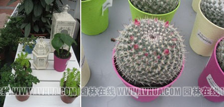 亚洲精品白浆高清久久久久久