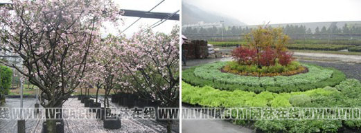 亚洲精品白浆高清久久久久久