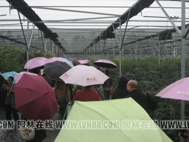 亚洲精品白浆高清久久久久久