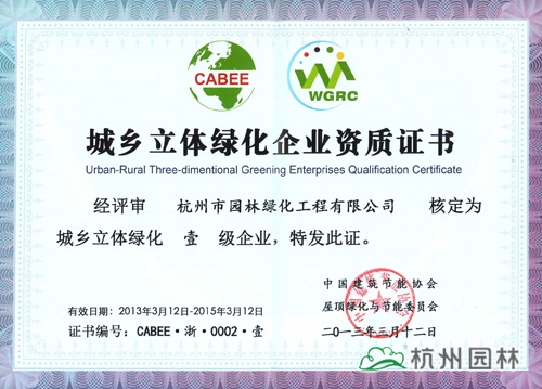 亚洲精品白浆高清久久久久久
