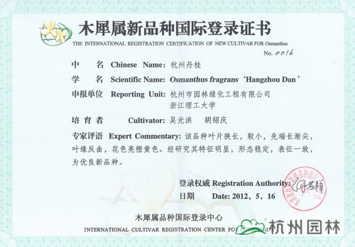 亚洲精品白浆高清久久久久久