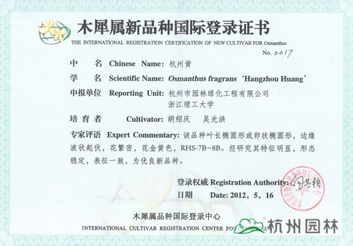 亚洲精品白浆高清久久久久久