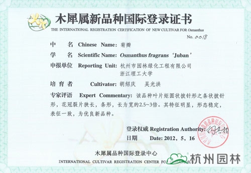 亚洲精品白浆高清久久久久久